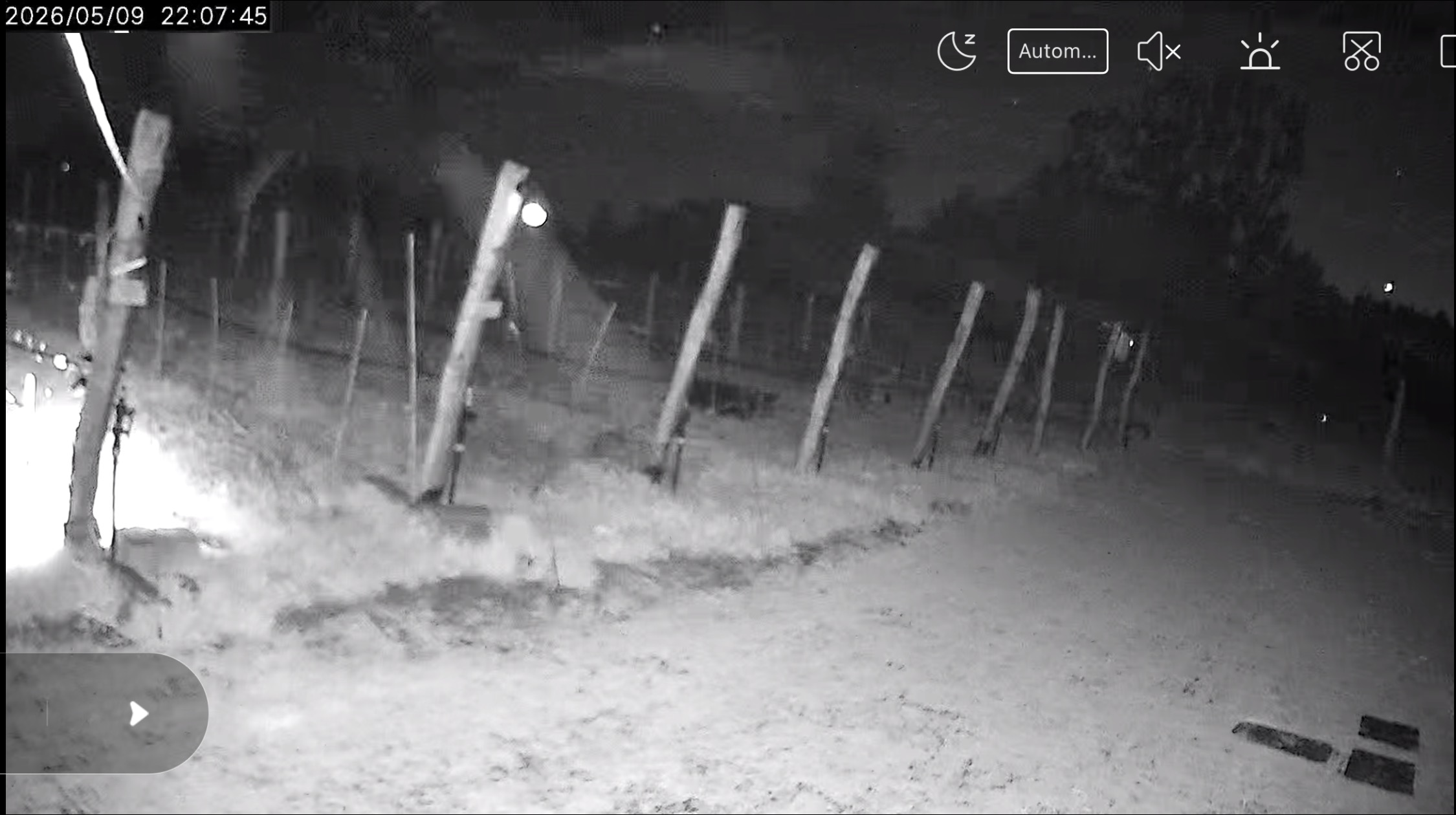 Widok kamery nocą - winnica pokryta lodową otoczką